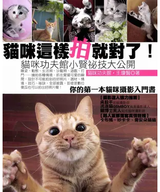 書封 貓咪這樣拍就對了！貓咪功夫館小賢秘技大公開